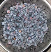 We usually freeze our fresh picked blueberries and freeze them on a cookie tray, then put them in a freezer bag and save them for pancakes or blueberry buckle.